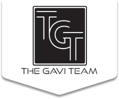 The Gavi Team logo with blue and white design